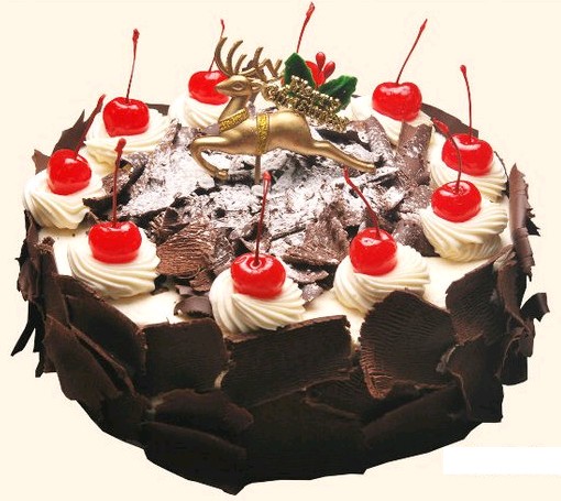 Holland Bakery Mocca Tart Cake 19 cm - $30.00 : Hadiah 